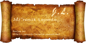 Jánosik Levente névjegykártya